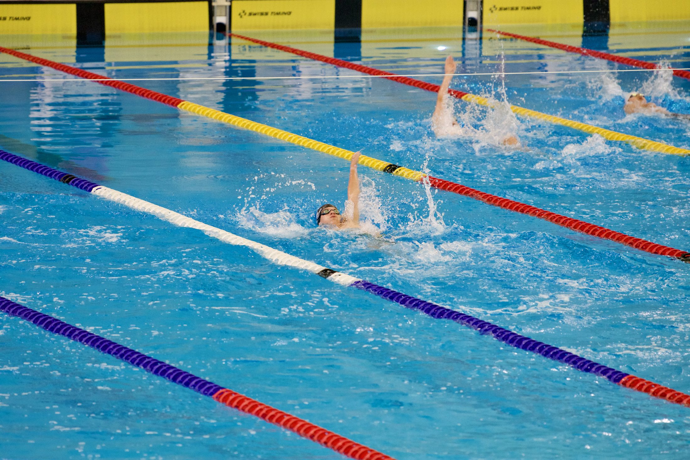 Backstroke race